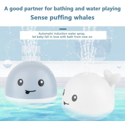 Whale Bath Toy