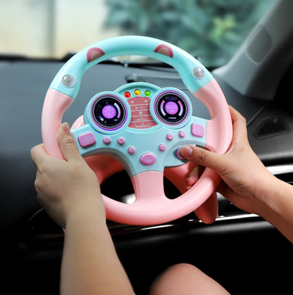 Electric Simulation Steering  Wheel in use