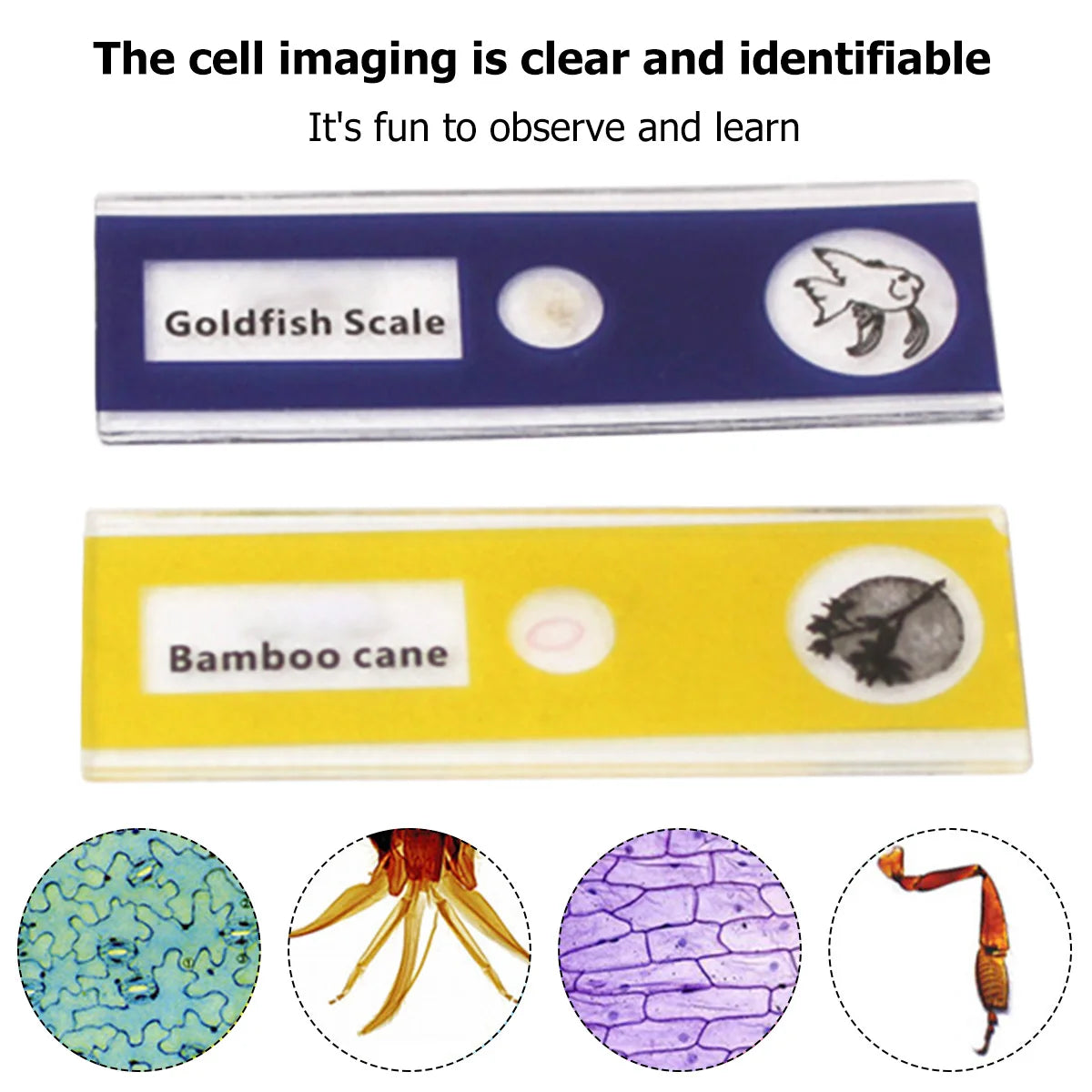 Pocket Microscope