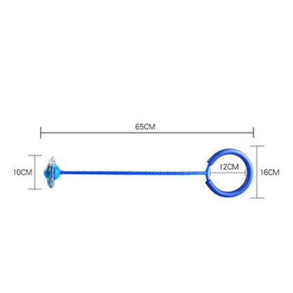 Flash Training Swing Ball